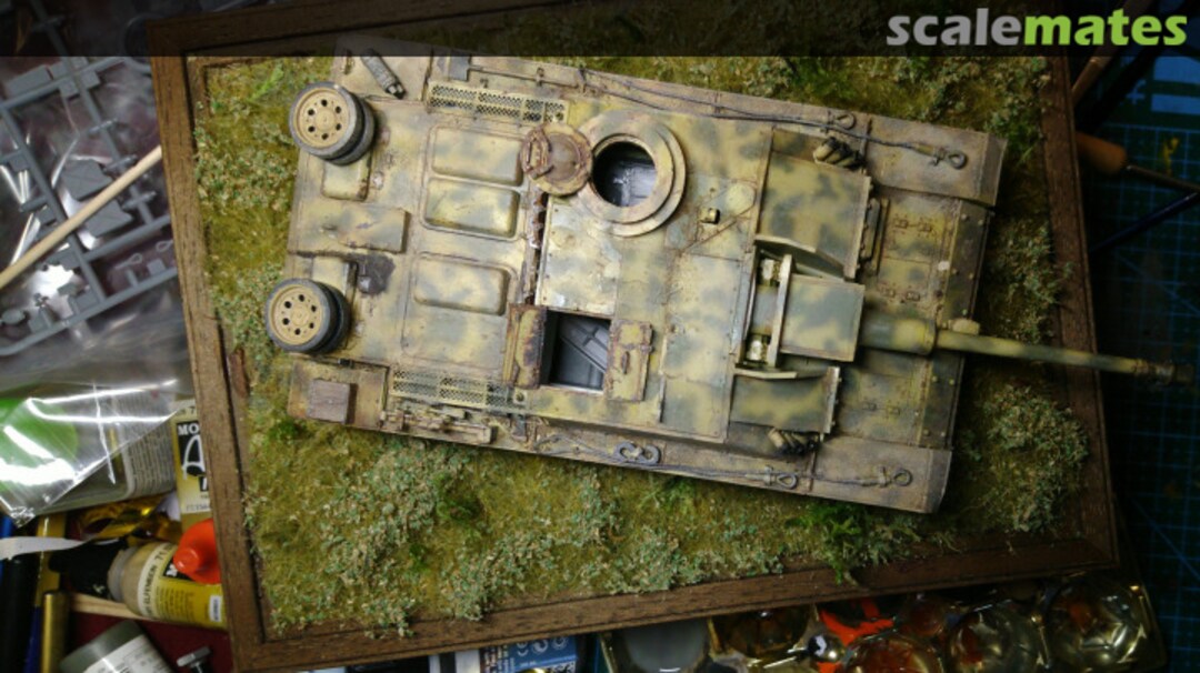 View album, image #3 View album, image #3