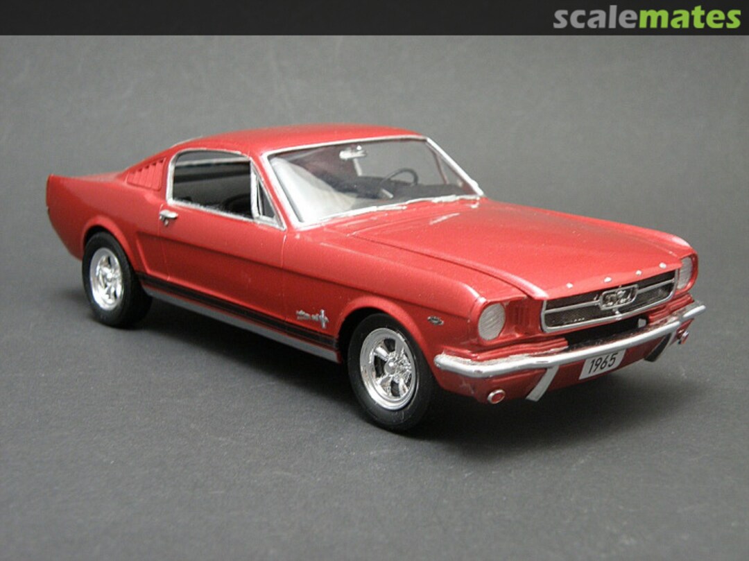 View album, image #1 View album, image #1