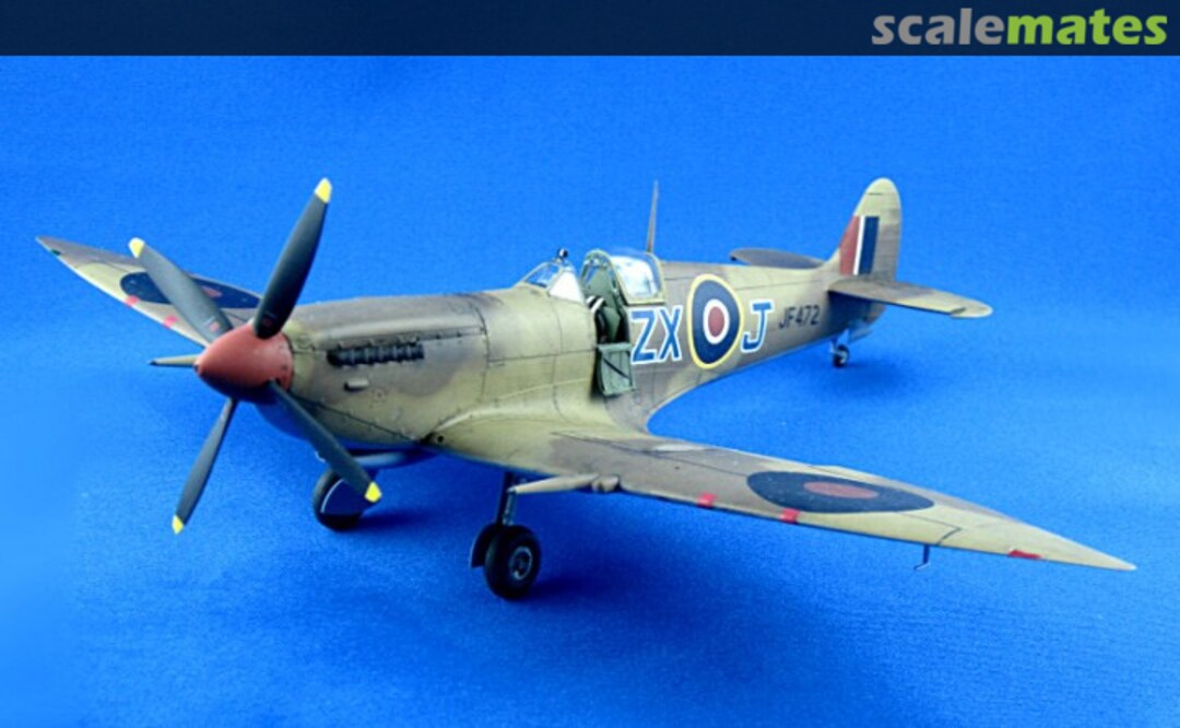 View album, image #13 View album, image #13