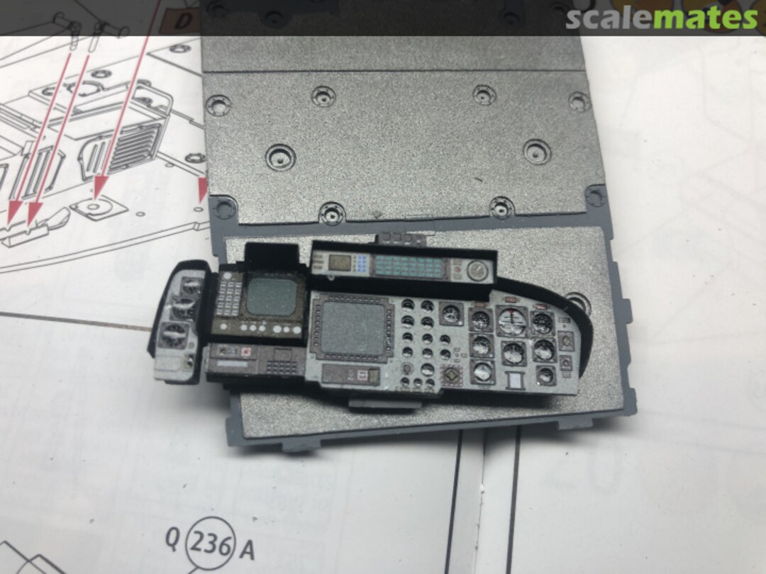 View album, image #3 View album, image #3