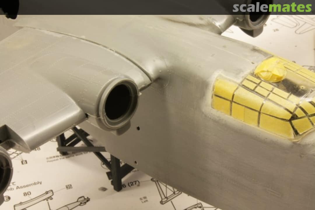 View album, image #1 View album, image #1