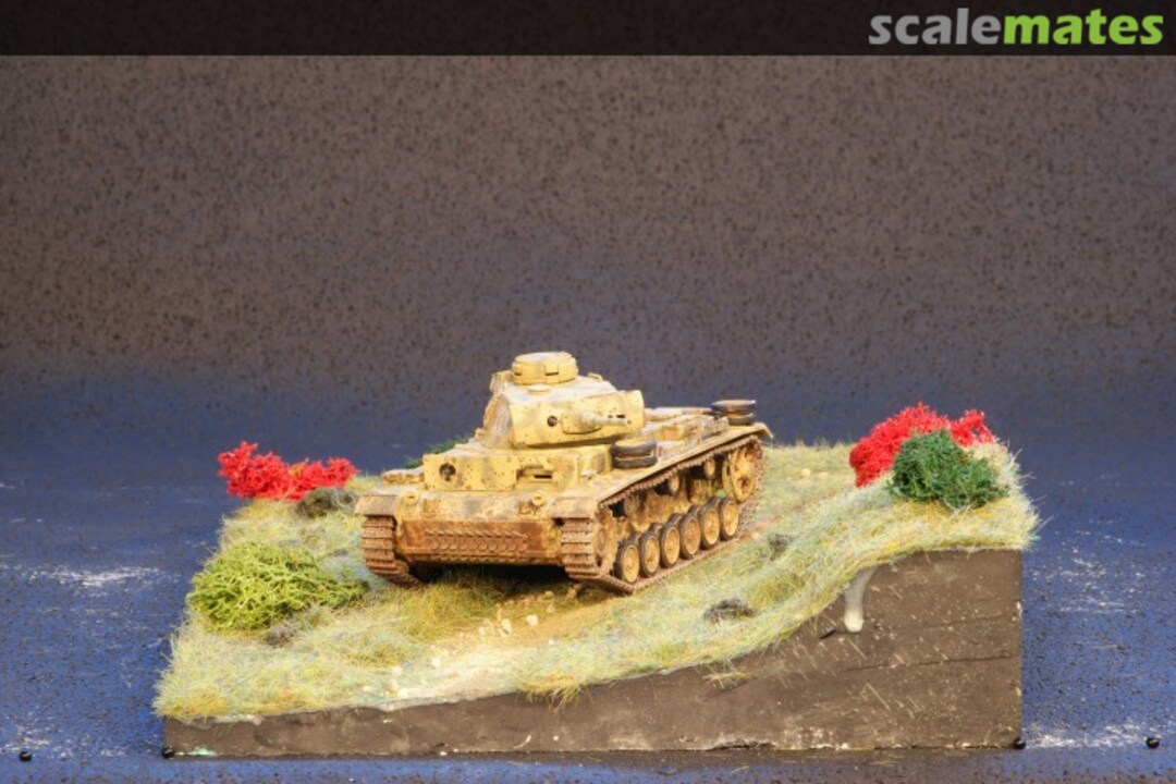 View album, image #1