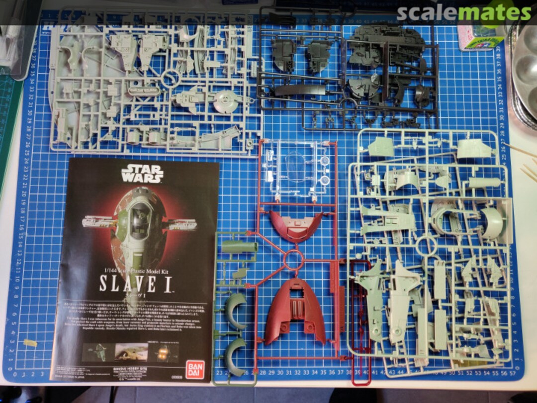 View album, image #1