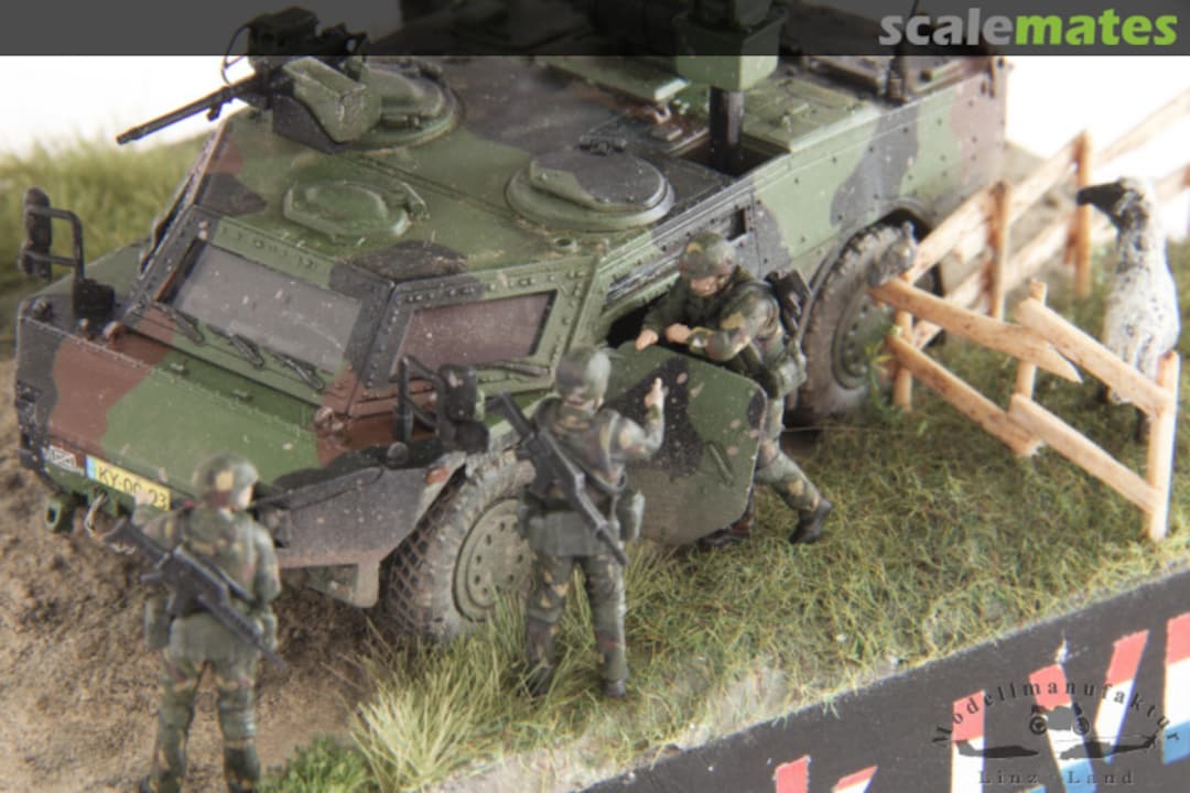 View album, image #47 View album, image #47