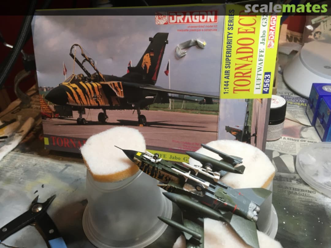 View album, image #1 View album, image #1