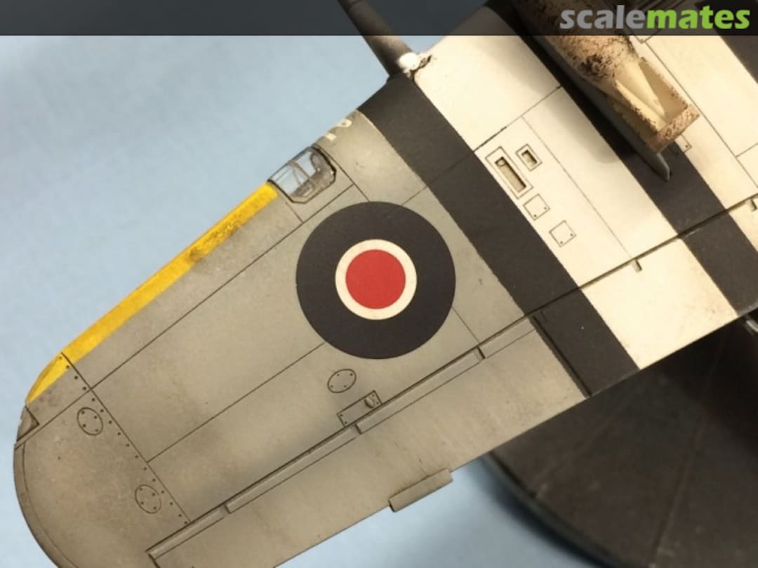 View album, image #25 View album, image #25