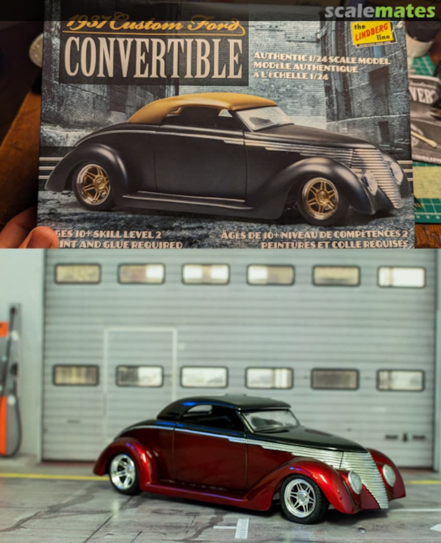 View album, image #1 View album, image #1