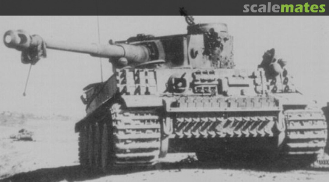 View album, image #1 View album, image #1