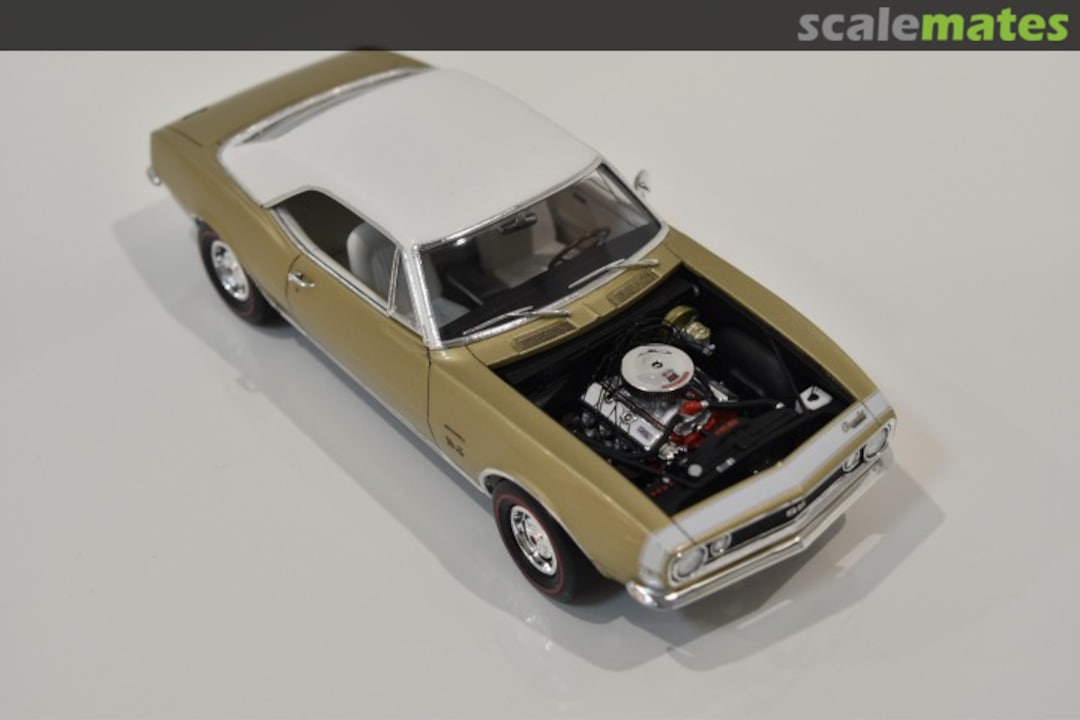 View album, image #1