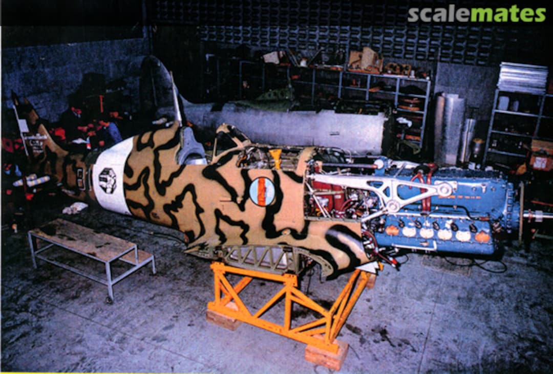 View album, image #3