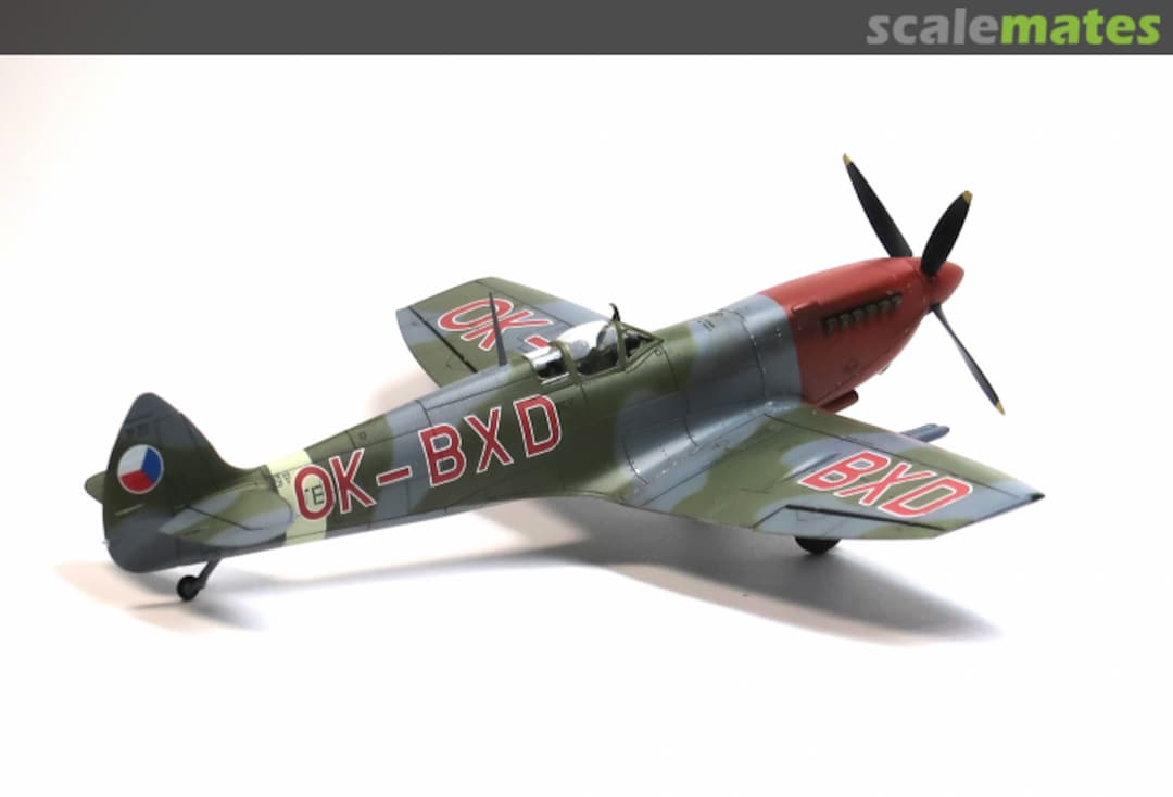 View album, image #1 View album, image #1