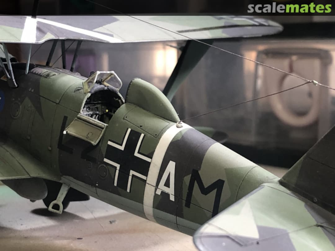 View album, image #4 View album, image #4