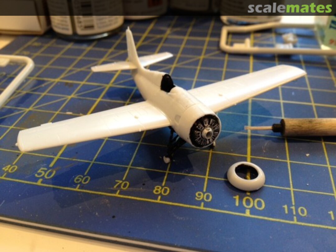 View album, image #1 View album, image #1