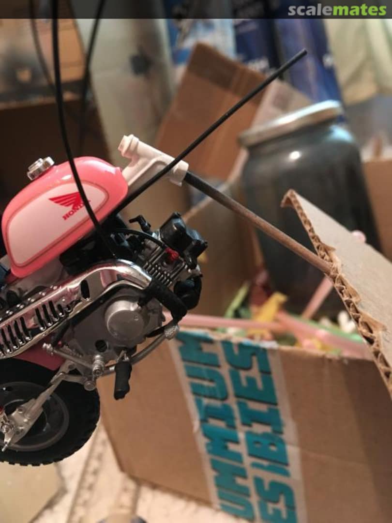 View album, image #1