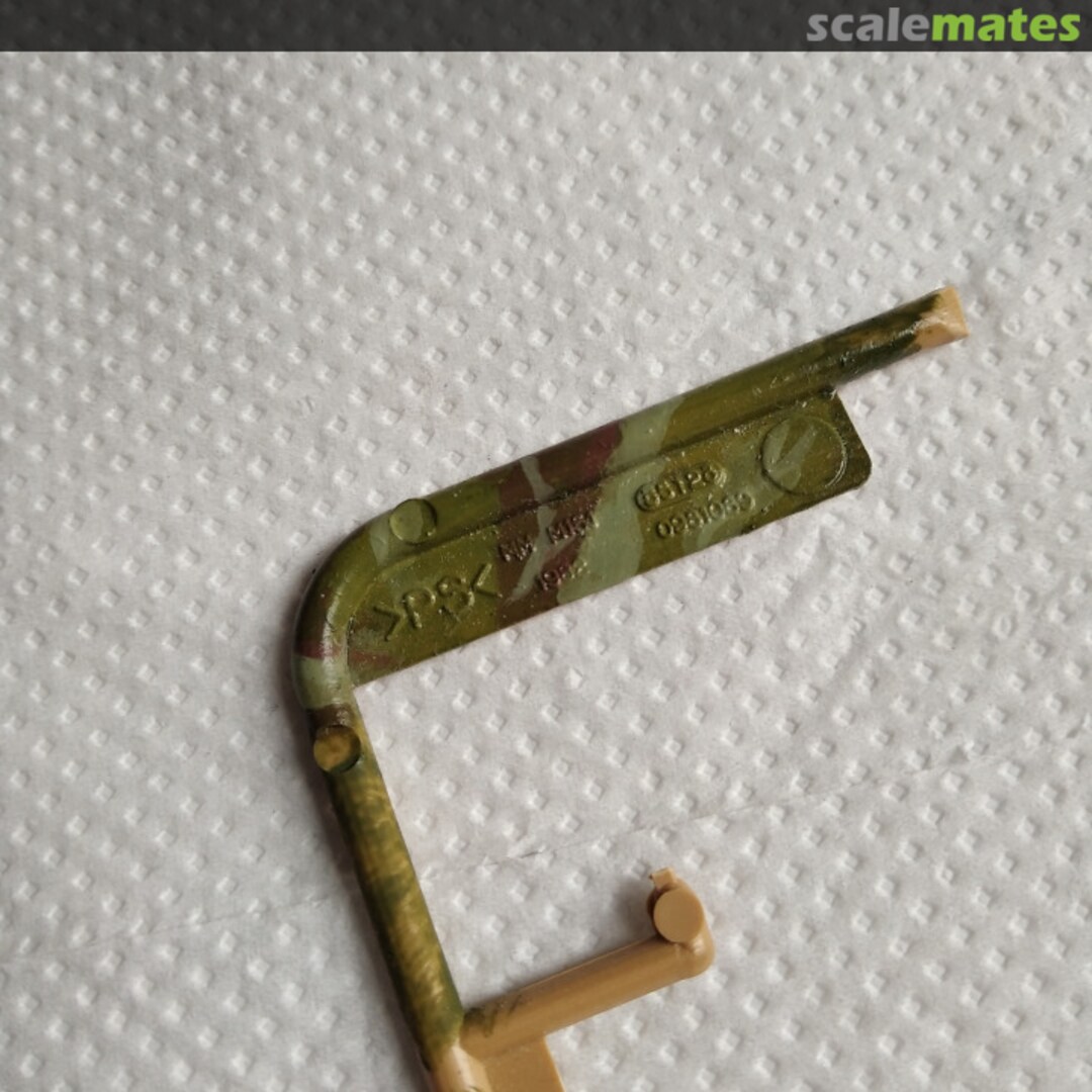 View album, image #1 View album, image #1