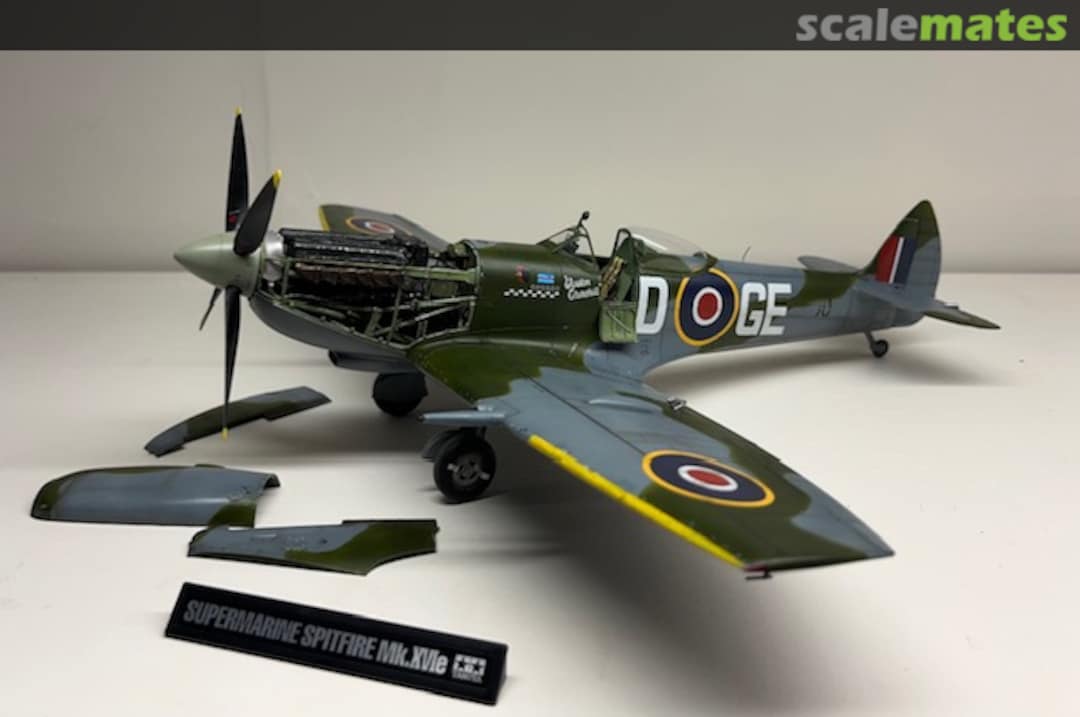 View album, image #29