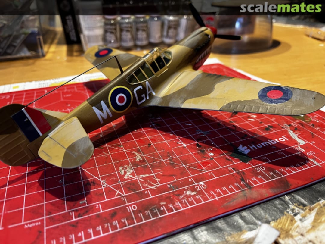 View album, image #7 View album, image #7