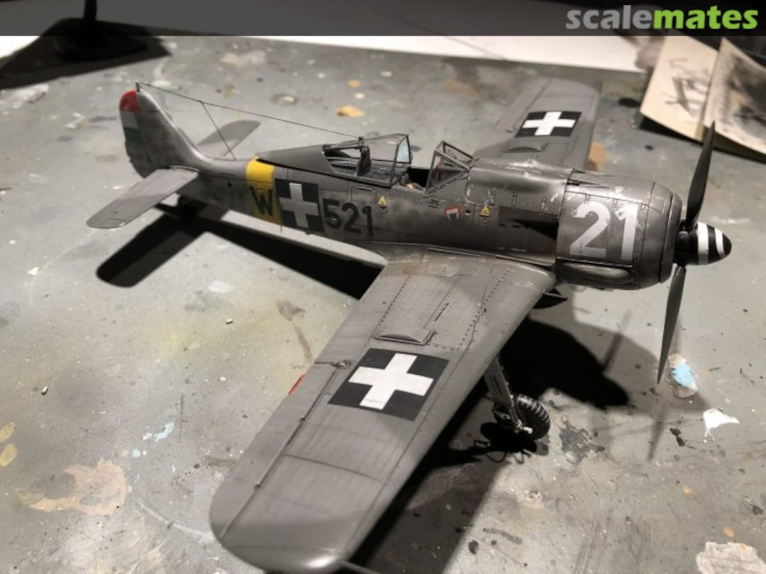 View album, image #1 View album, image #1