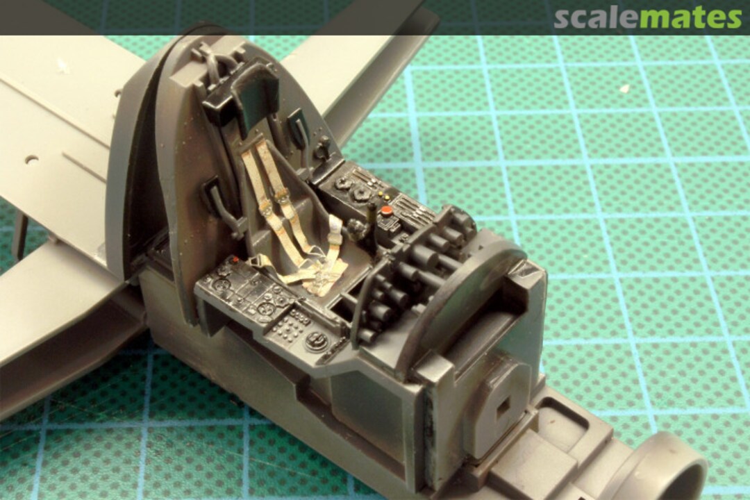 View album, image #5