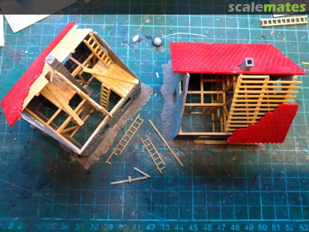 View album, image #1 View album, image #1