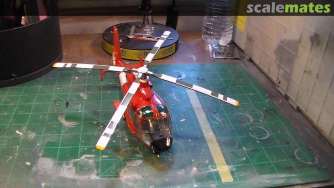 View album, image #1 View album, image #1