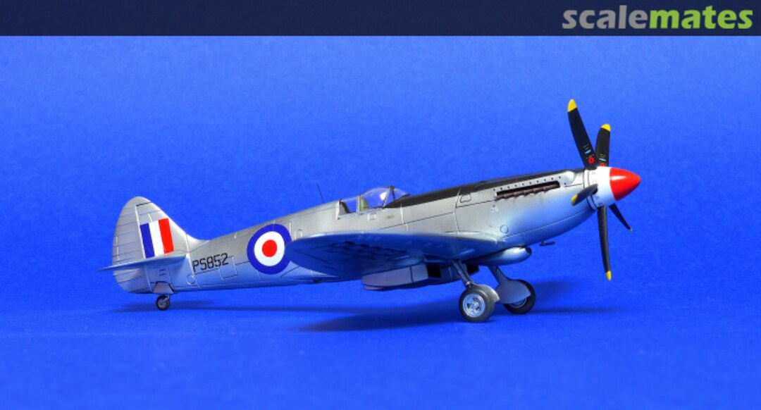 View album, image #1