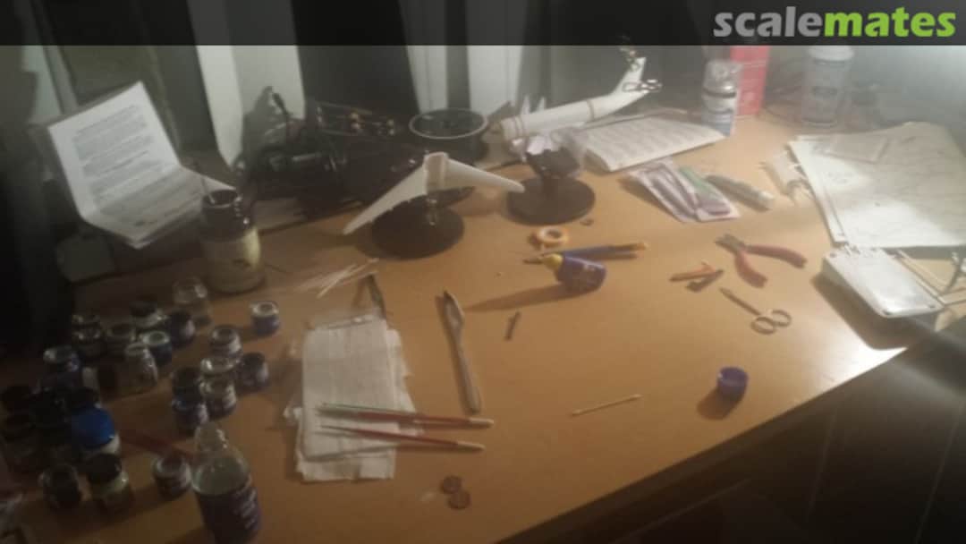 View album, image #1 View album, image #1