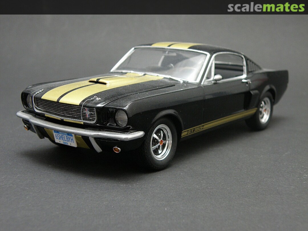 View album, image #1