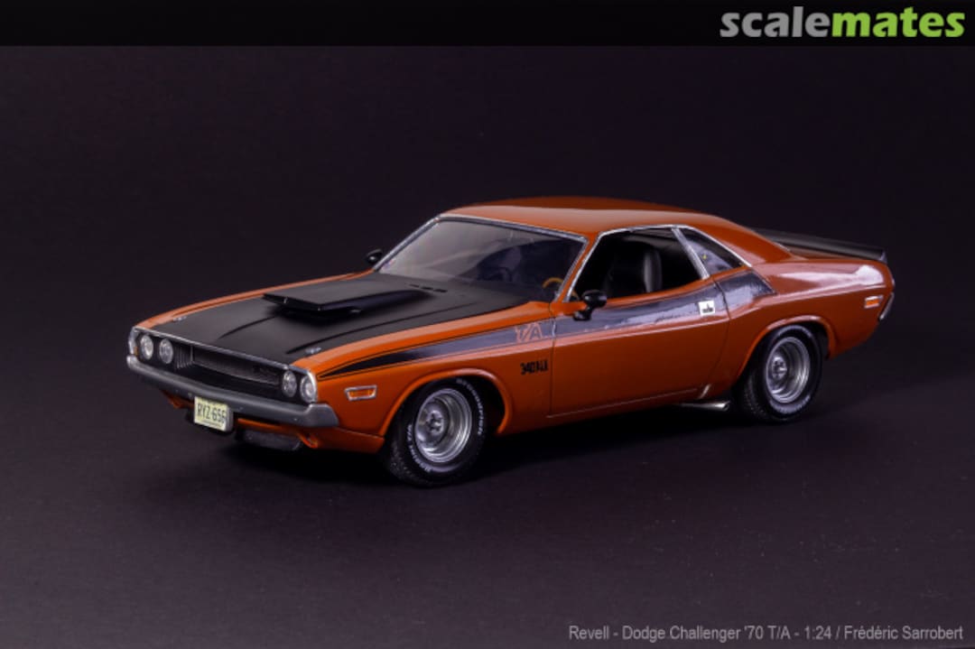 View album, image #1 View album, image #1