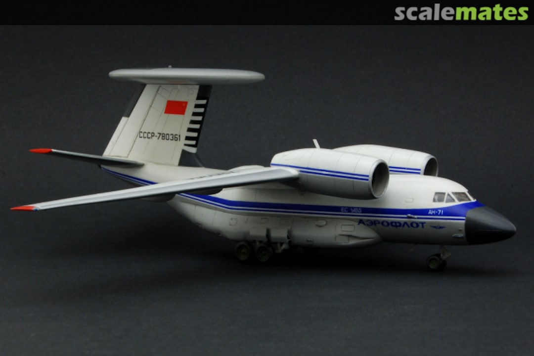 View album, image #6 View album, image #6