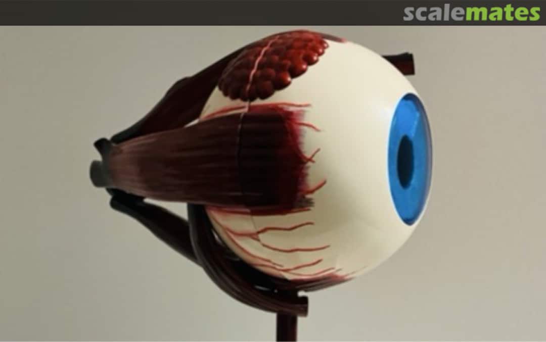 View album, image #7