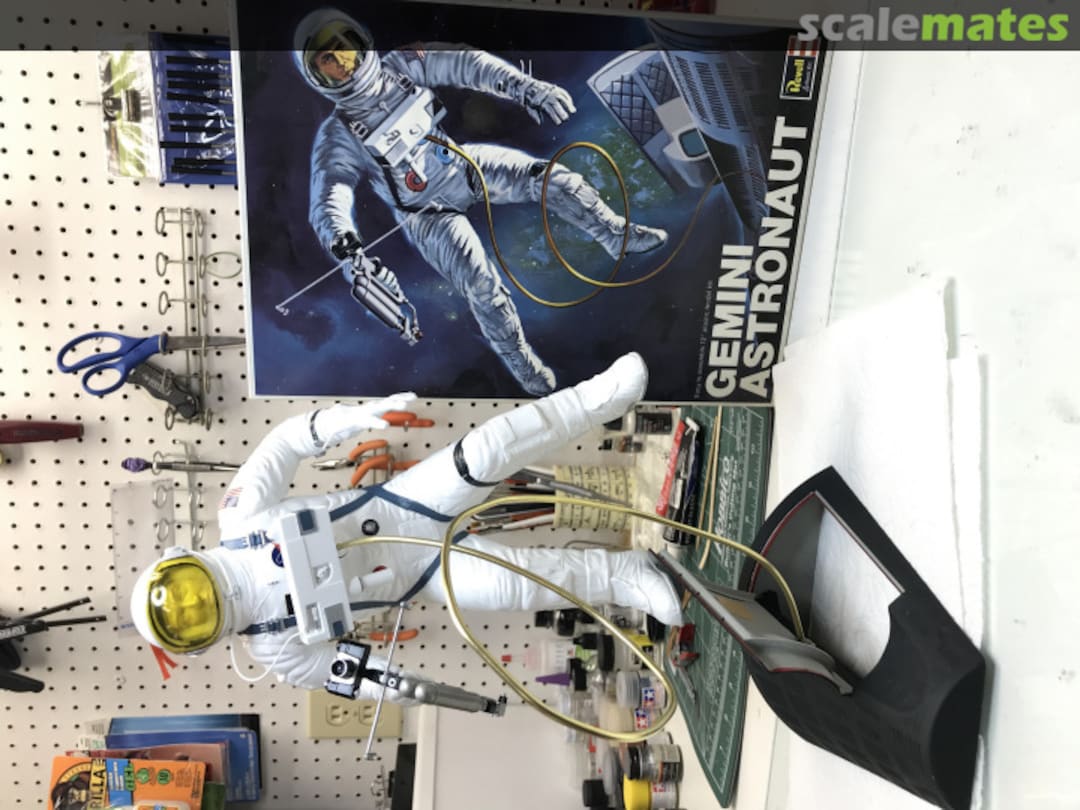 View album, image #1 View album, image #1