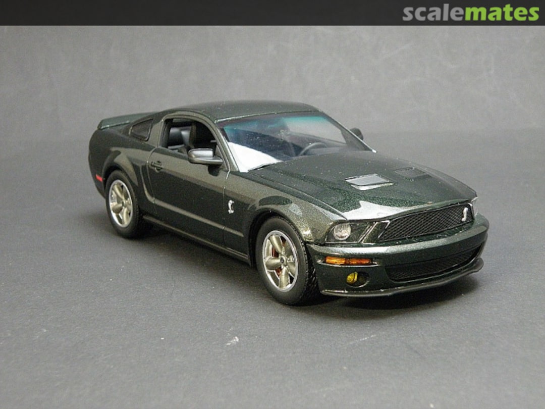 View album, image #1 View album, image #1