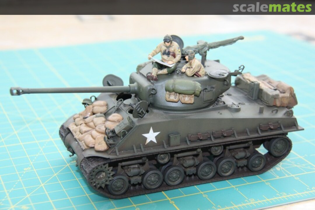 View album, image #3 View album, image #3