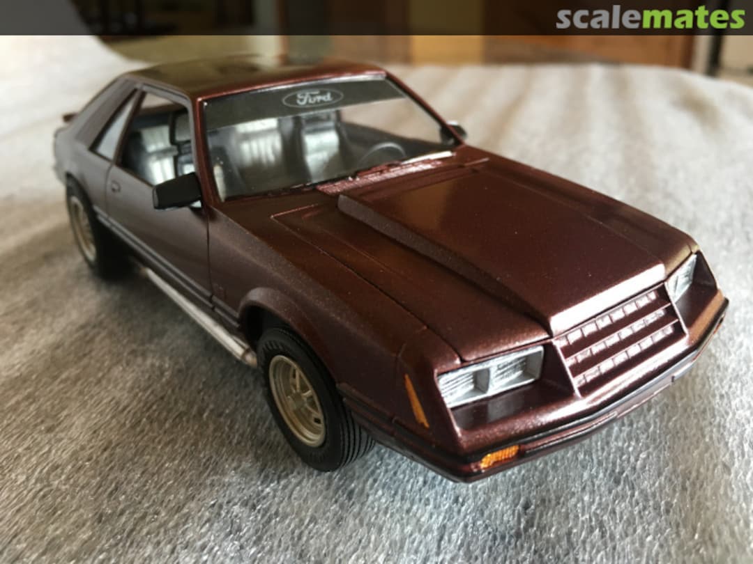 View album, image #1 View album, image #1