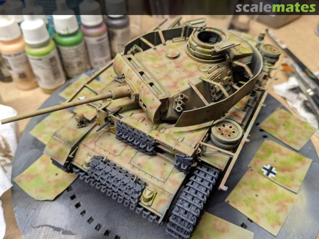 View album, image #12 View album, image #12