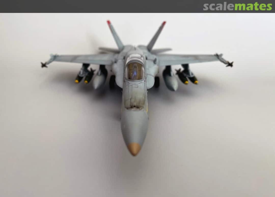 View album, image #1