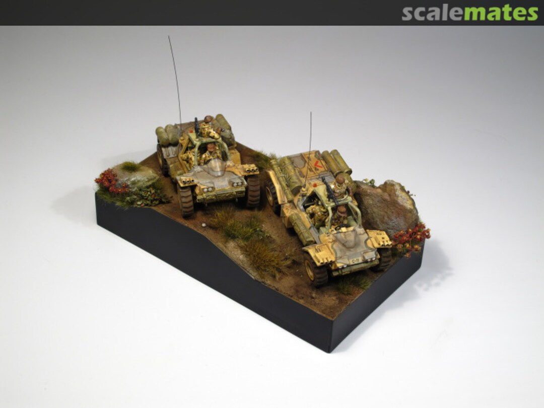 View album, image #1