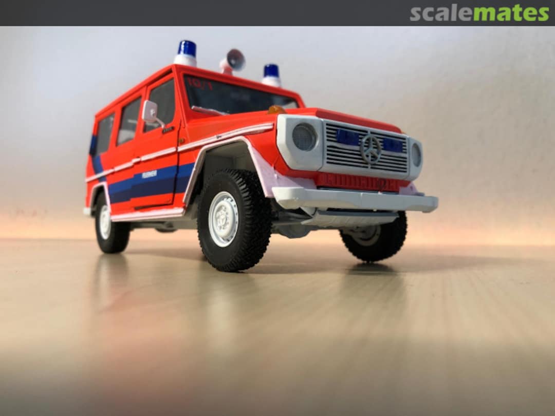 View album, image #31 View album, image #31