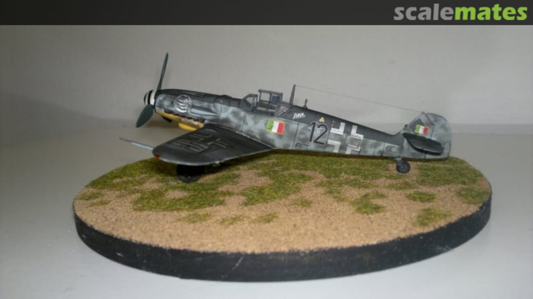 View album, image #1 View album, image #1