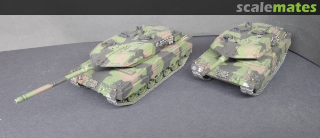 View album, image #11 View album, image #11