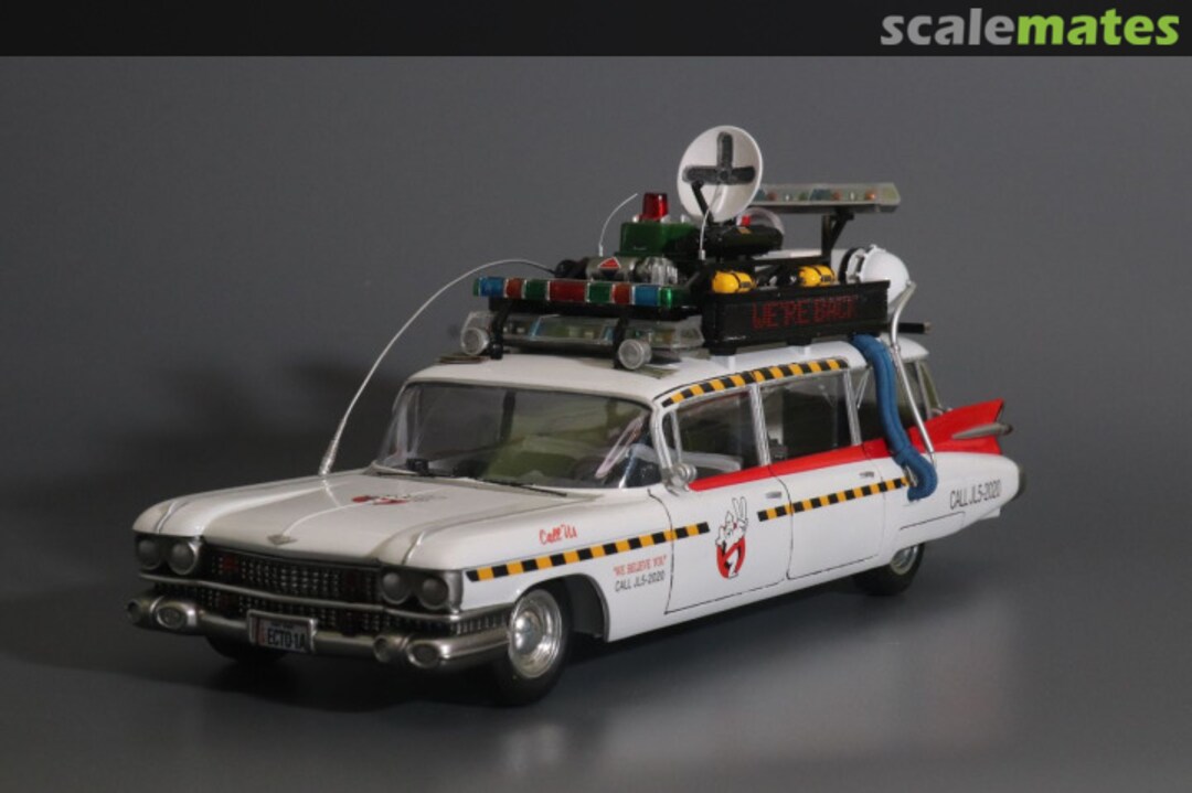 View album, image #3 View album, image #3