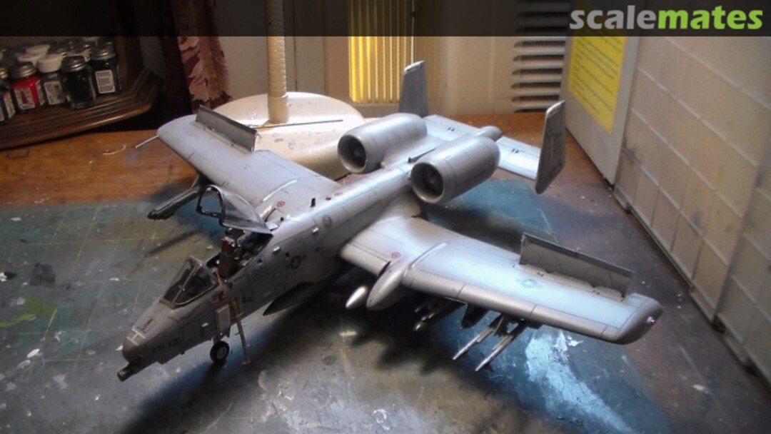 View album, image #1 View album, image #1