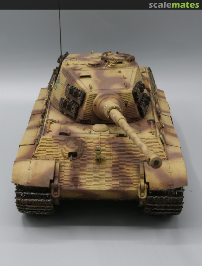 View album, image #1 View album, image #1