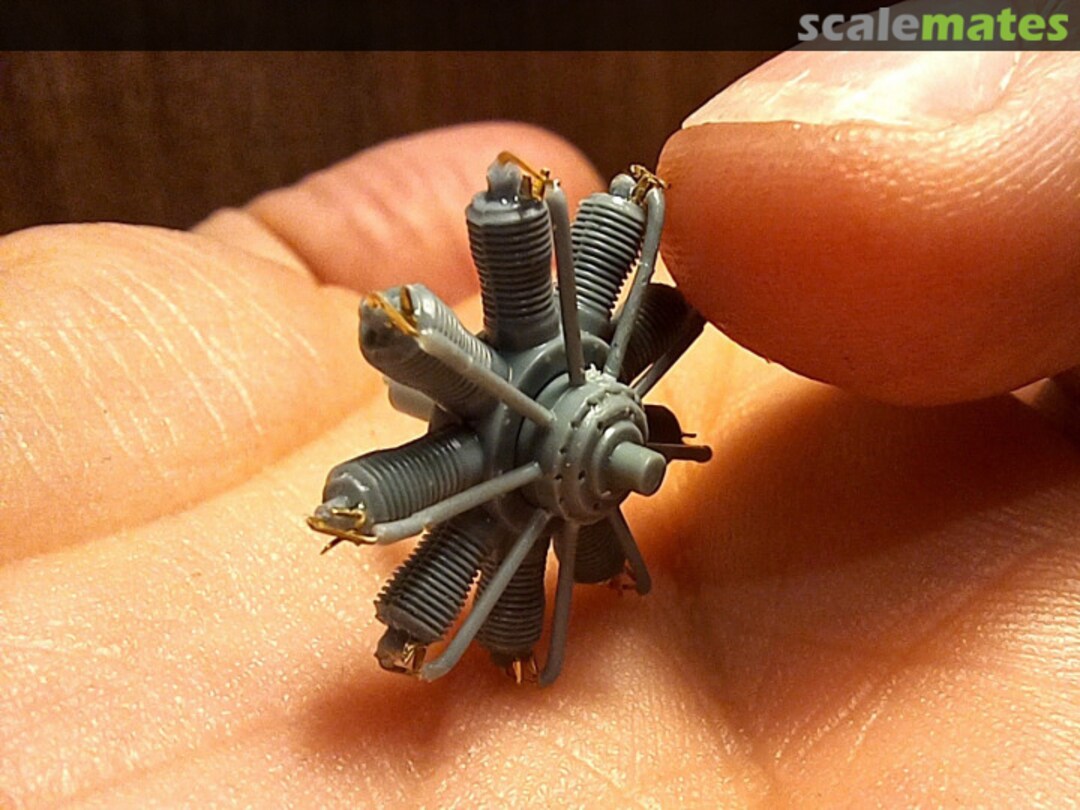 View album, image #12 View album, image #12