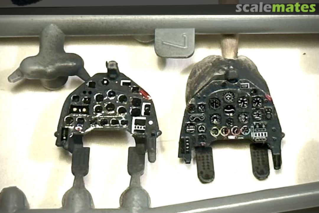 View album, image #1 View album, image #1