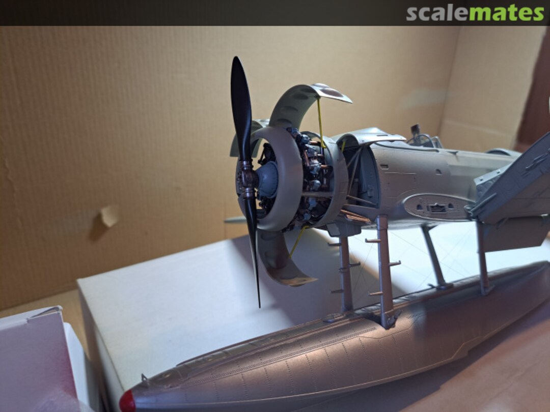 View album, image #1