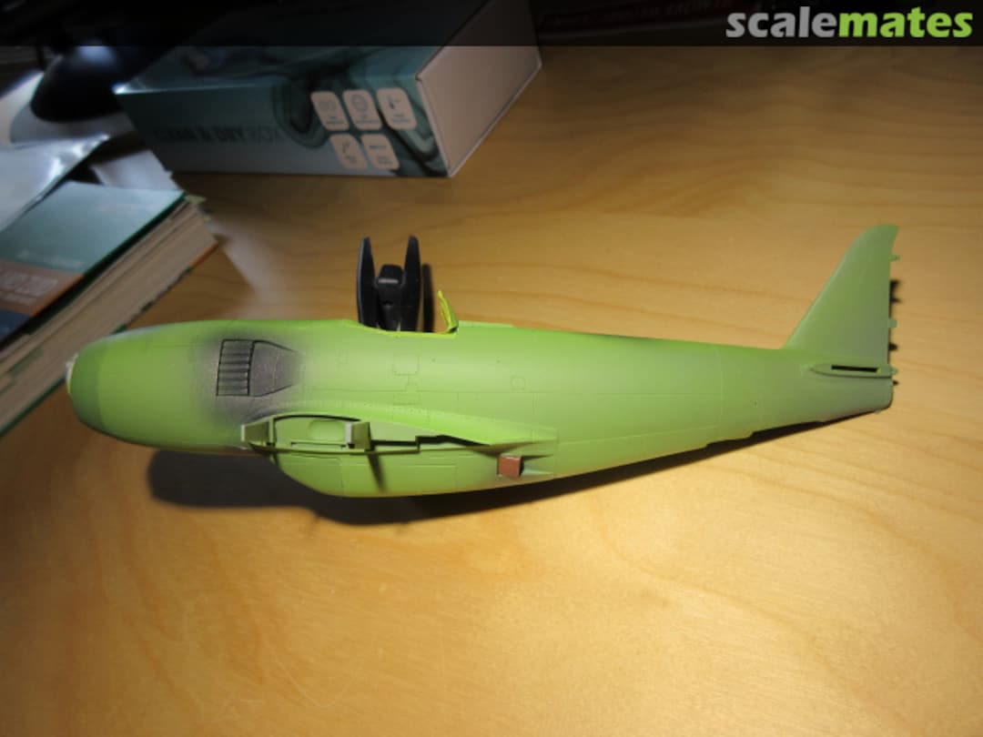 View album, image #4