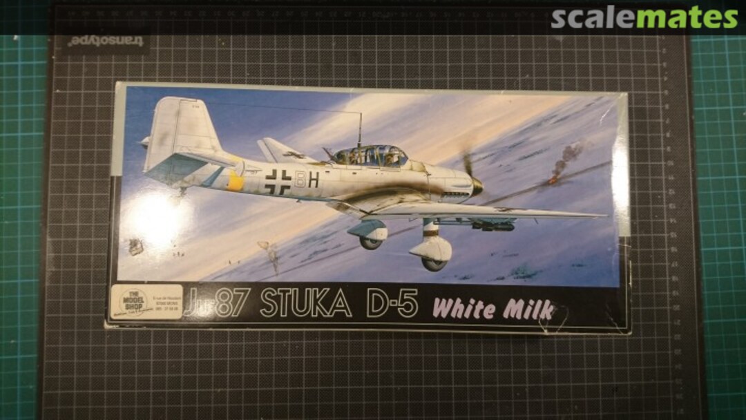 View album, image #1 View album, image #1