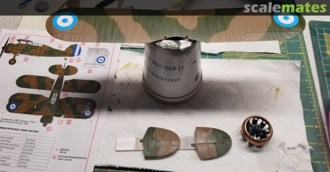 View album, image #1 View album, image #1